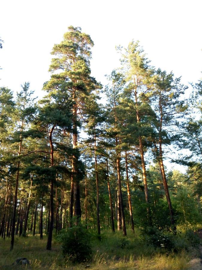 Guest House Kiev Forest Екстериор снимка